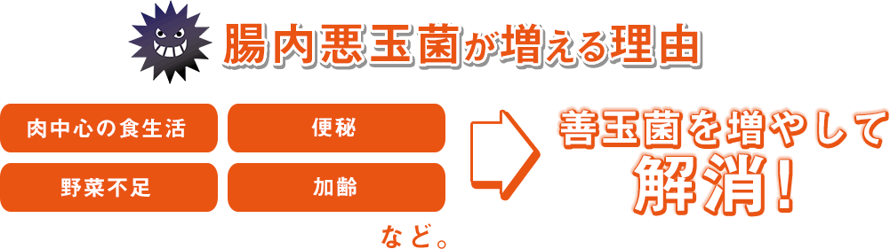 腸内悪玉菌が増える理由は、肉中心の食生活、便秘、野菜不足、加齢など。善玉菌を増やして解消！｜水素サプリで美容と健康に
